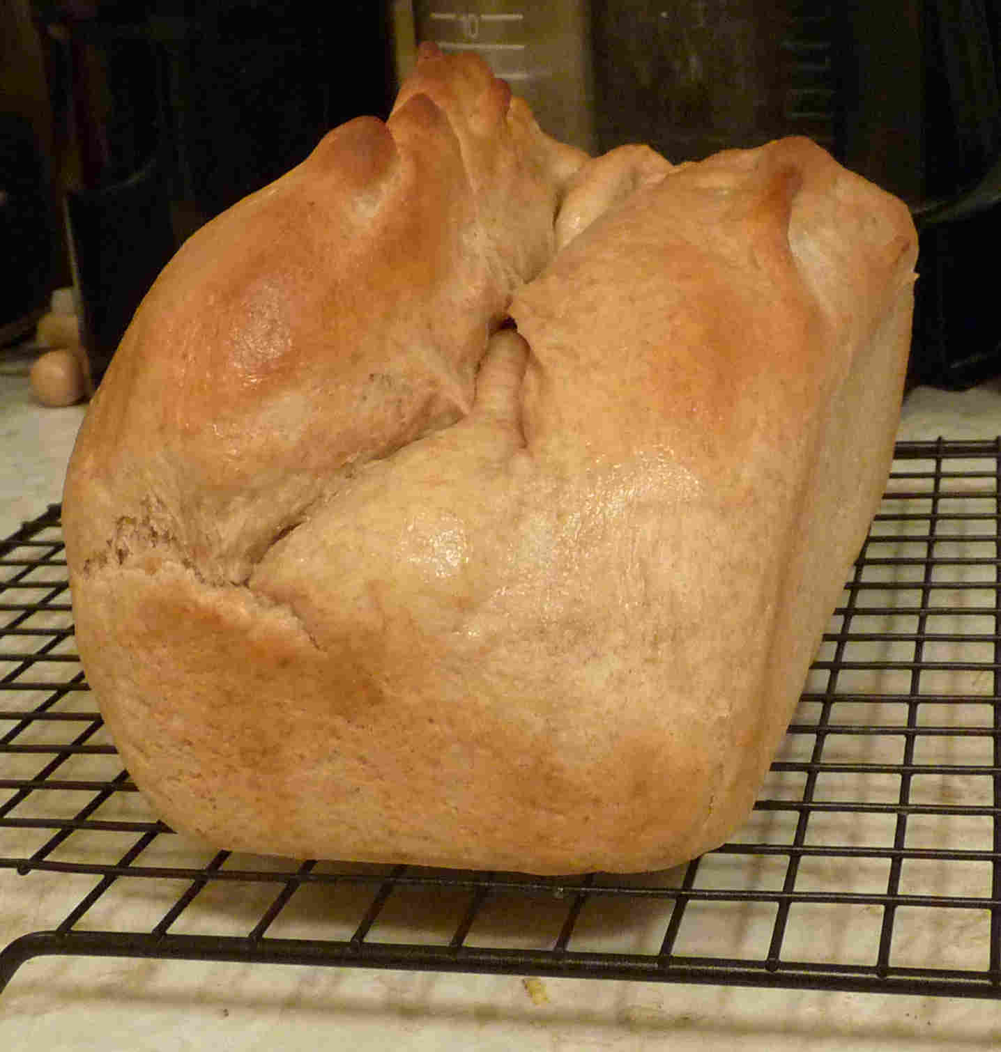 Wheat Bread dinosaur bread